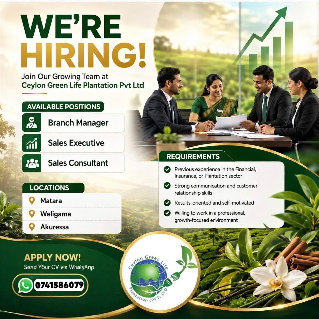 Sales Consultant