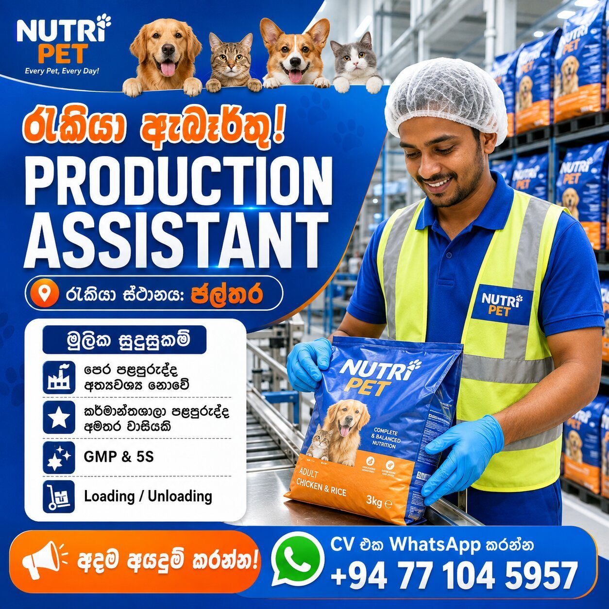 PRODUCTION ASSISTANT
